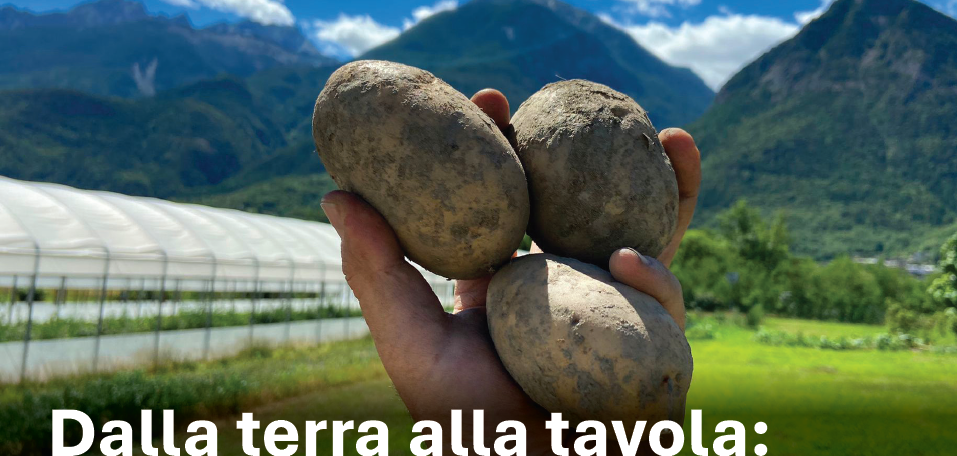 Invito evento: “Dalla terra alla tavola: incontro sulla filiera della patata in Valle d’Aosta” – 26.11.2024